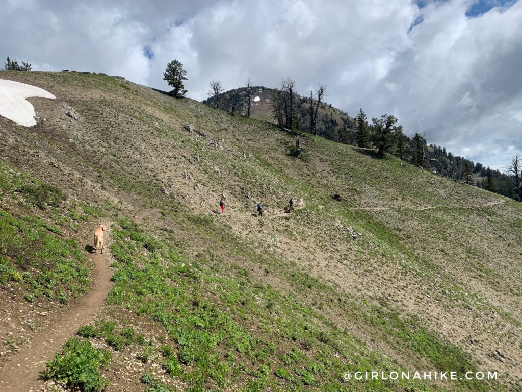 Hiking to Mt.Elly, Teton Pass