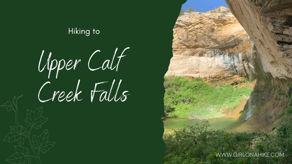 Hiking to Upper Calf Creek Falls