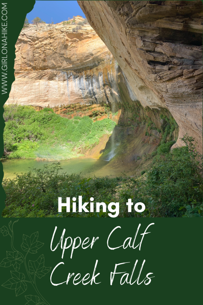 Hiking to Upper Calf Creek Falls