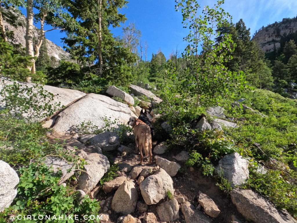 Hiking to Silver Lake & Silver Glance Lake