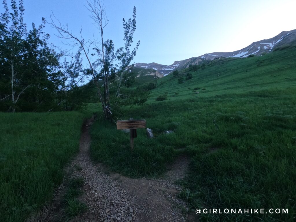 Hiking to Big Baldy, Wasatch Mountains