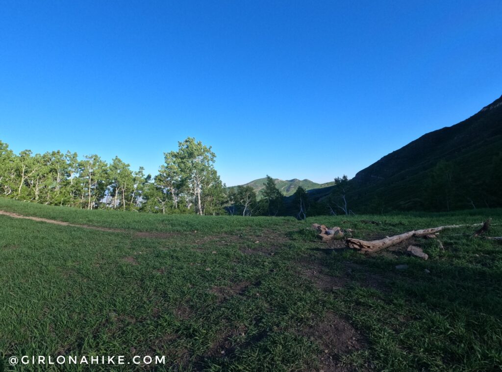Hiking to Big Baldy, Wasatch Mountains