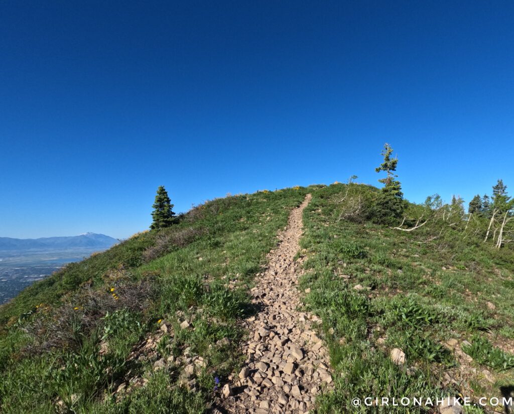 Hiking to Big Baldy, Wasatch Mountains