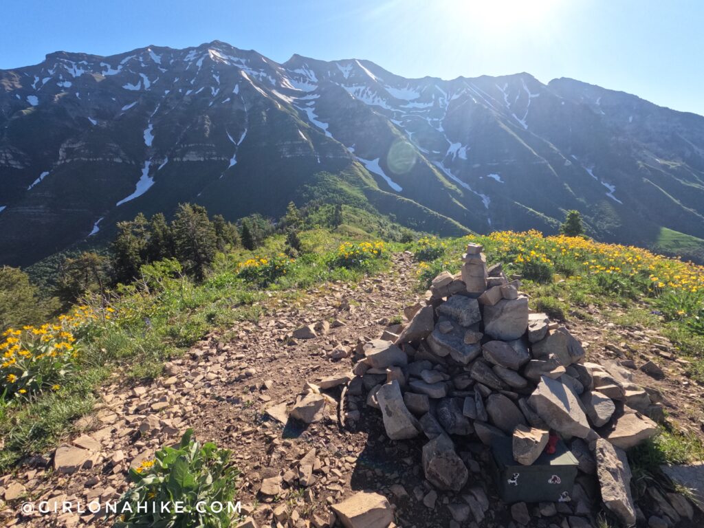 Hiking to Big Baldy, Wasatch Mountains