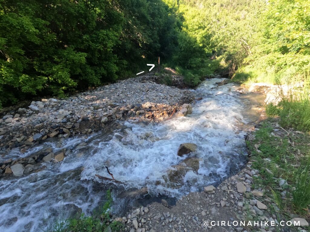 Hiking to Big Baldy, Wasatch Mountains