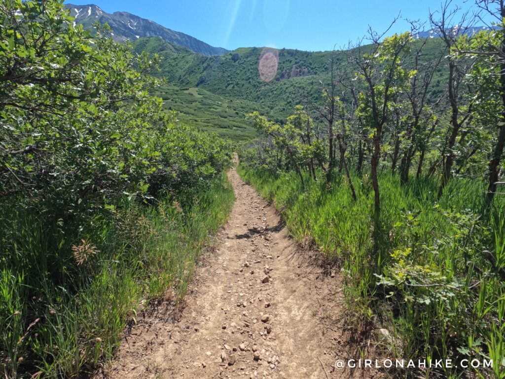 Hiking to Big Baldy, Wasatch Mountains