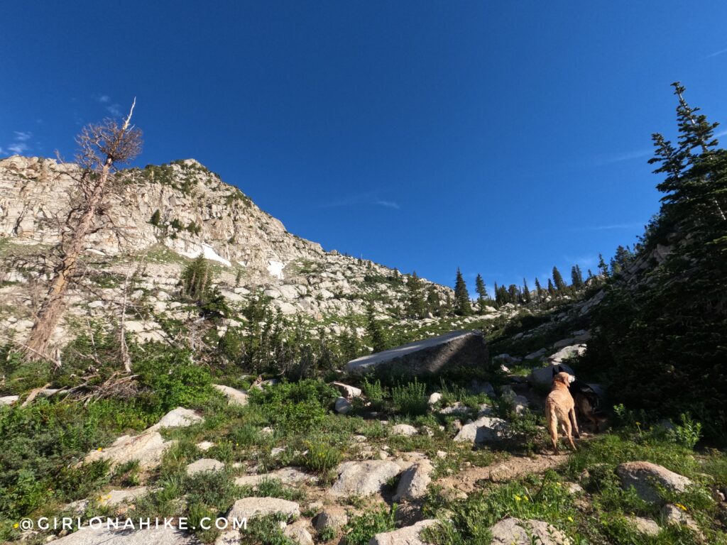 Hiking to Silver Lake & Silver Glance Lake