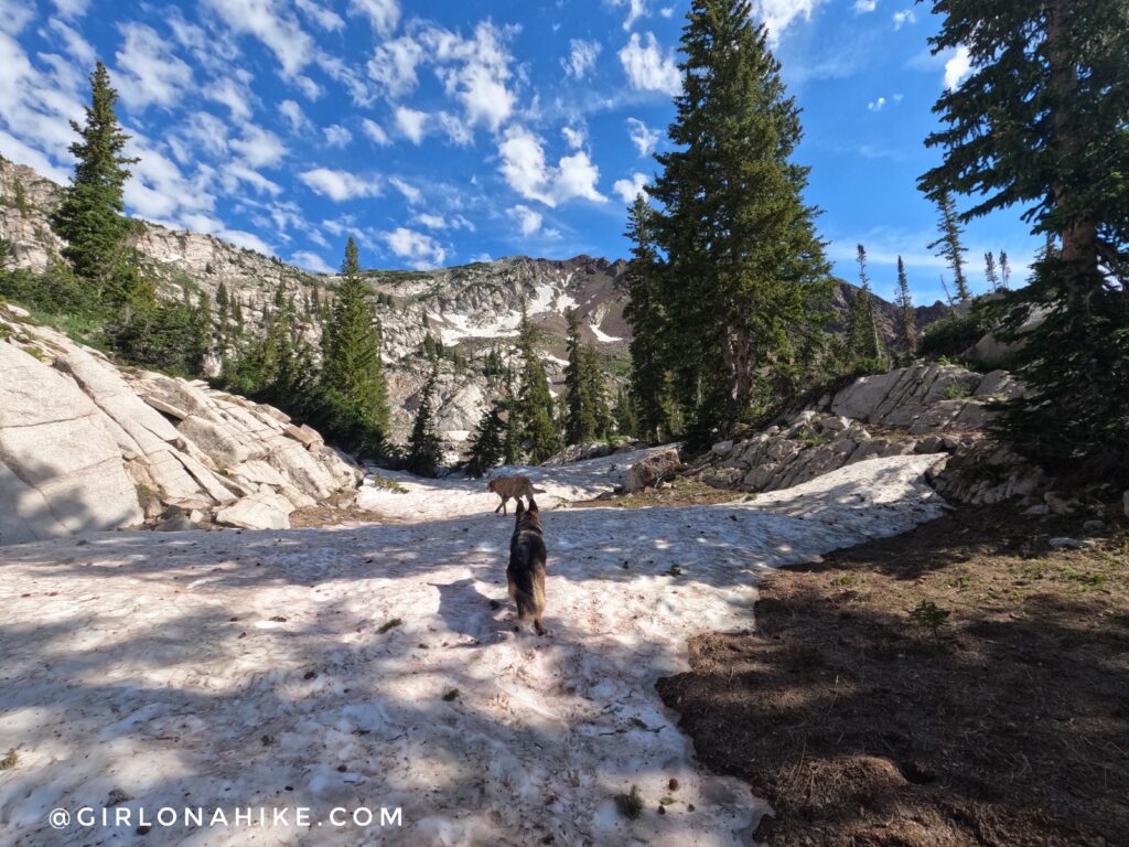 Hiking to Silver Lake & Silver Glance Lake