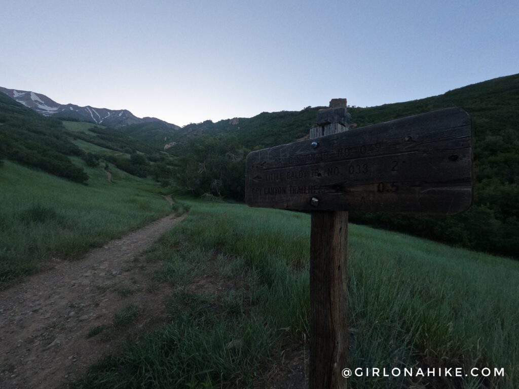 Hiking to Big Baldy, Wasatch Mountains