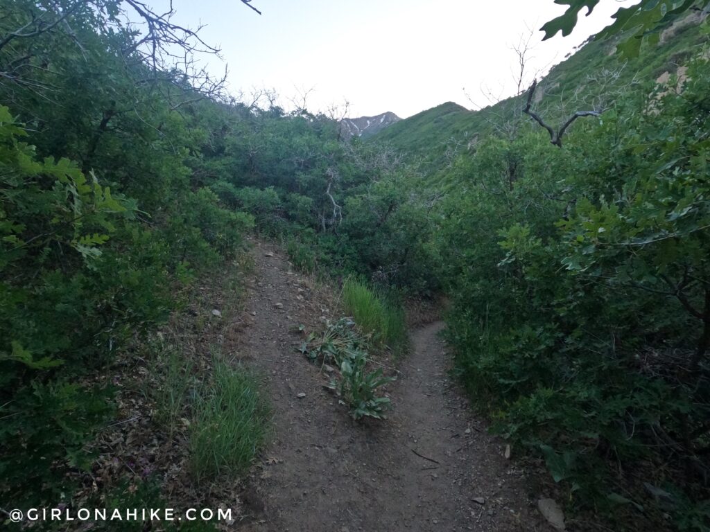 Hiking to Big Baldy, Wasatch Mountains