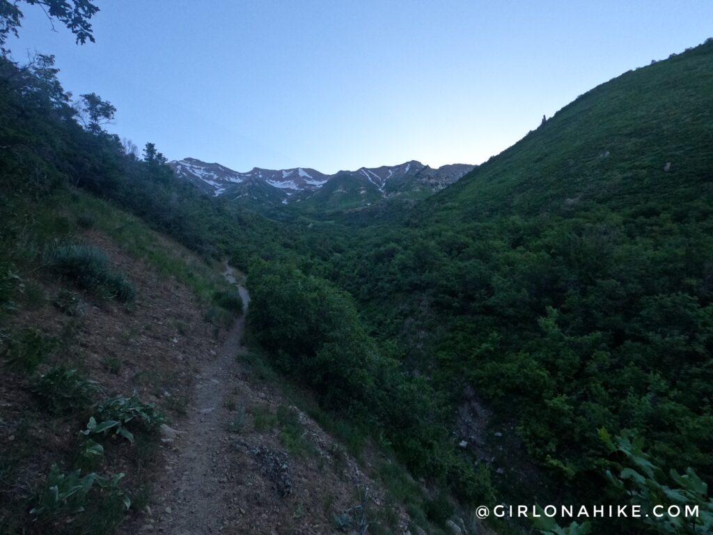 Hiking to Big Baldy, Wasatch Mountains