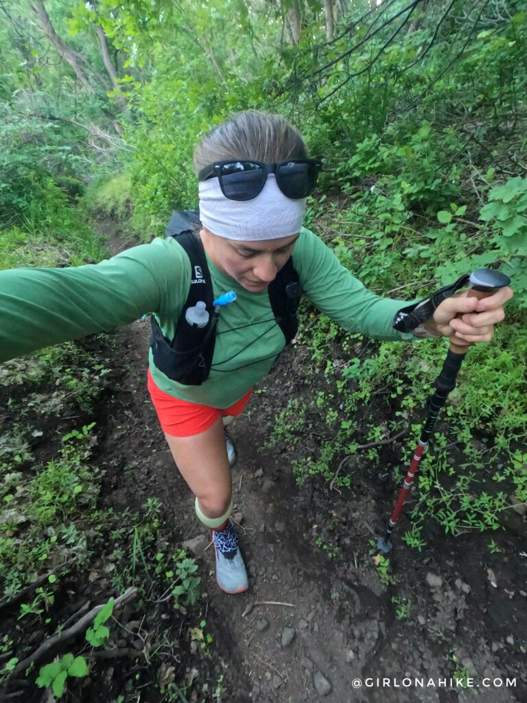 Hiking to Big Baldy, Wasatch Mountains