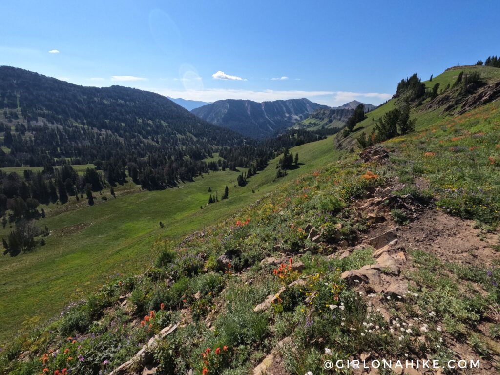 Hiking to Corral Creek Lake - Afton, Wyoming