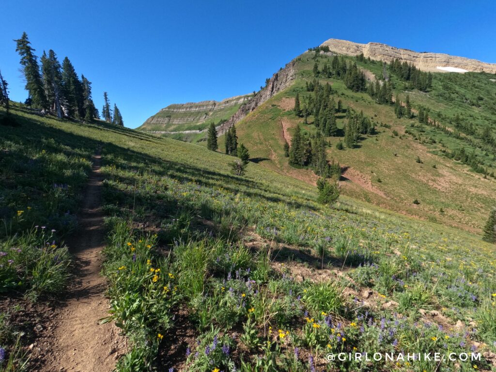 Hiking to Corral Creek Lake - Afton, Wyoming