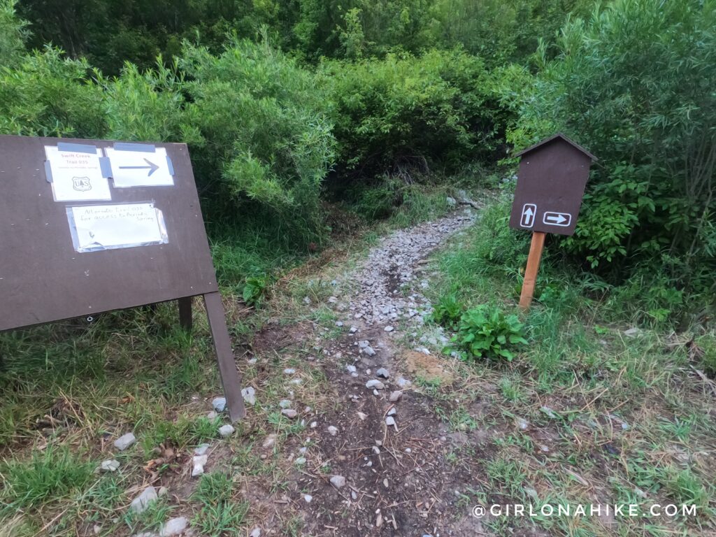 Hiking to Corral Creek Lake - Afton, Wyoming