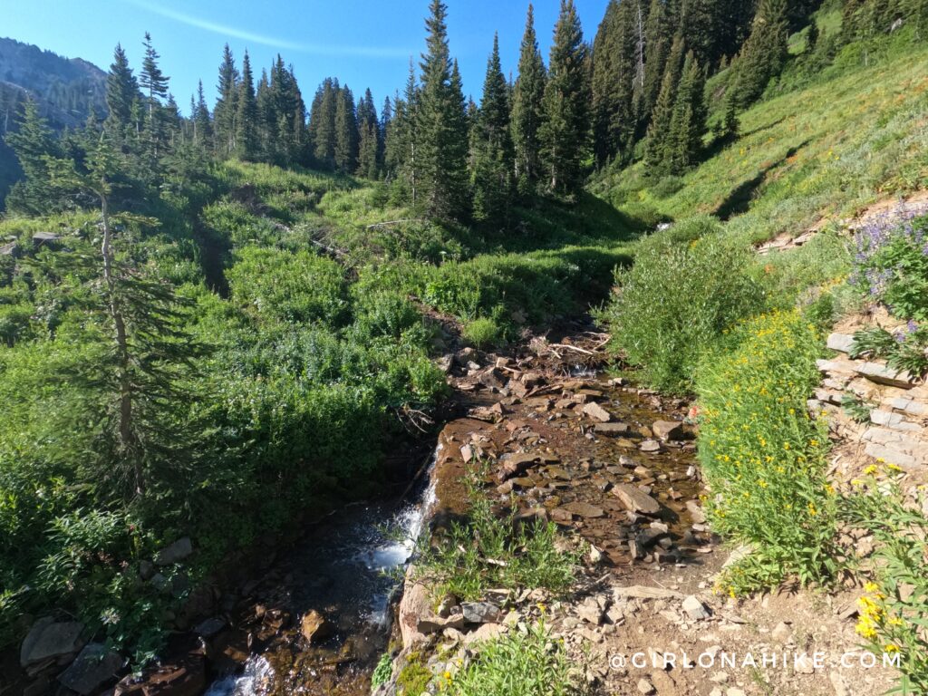 Hiking to Corral Creek Lake - Afton, Wyoming