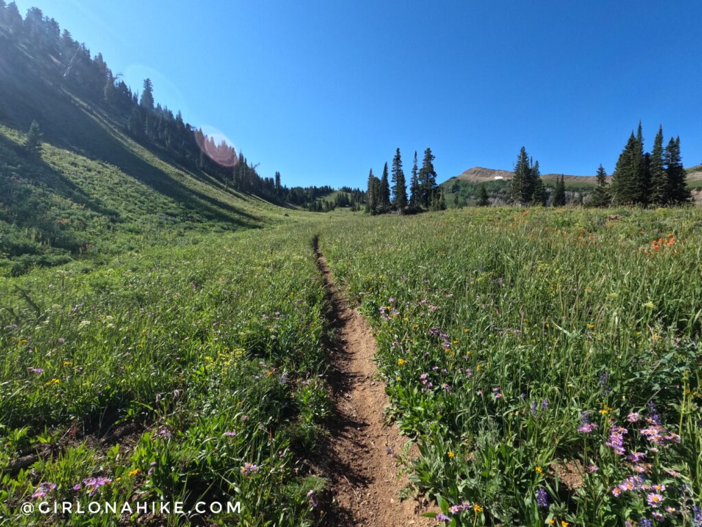 Hiking to Corral Creek Lake - Afton, Wyoming