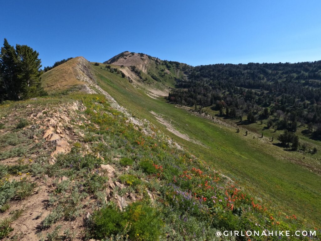 Hiking to Corral Creek Lake - Afton, Wyoming