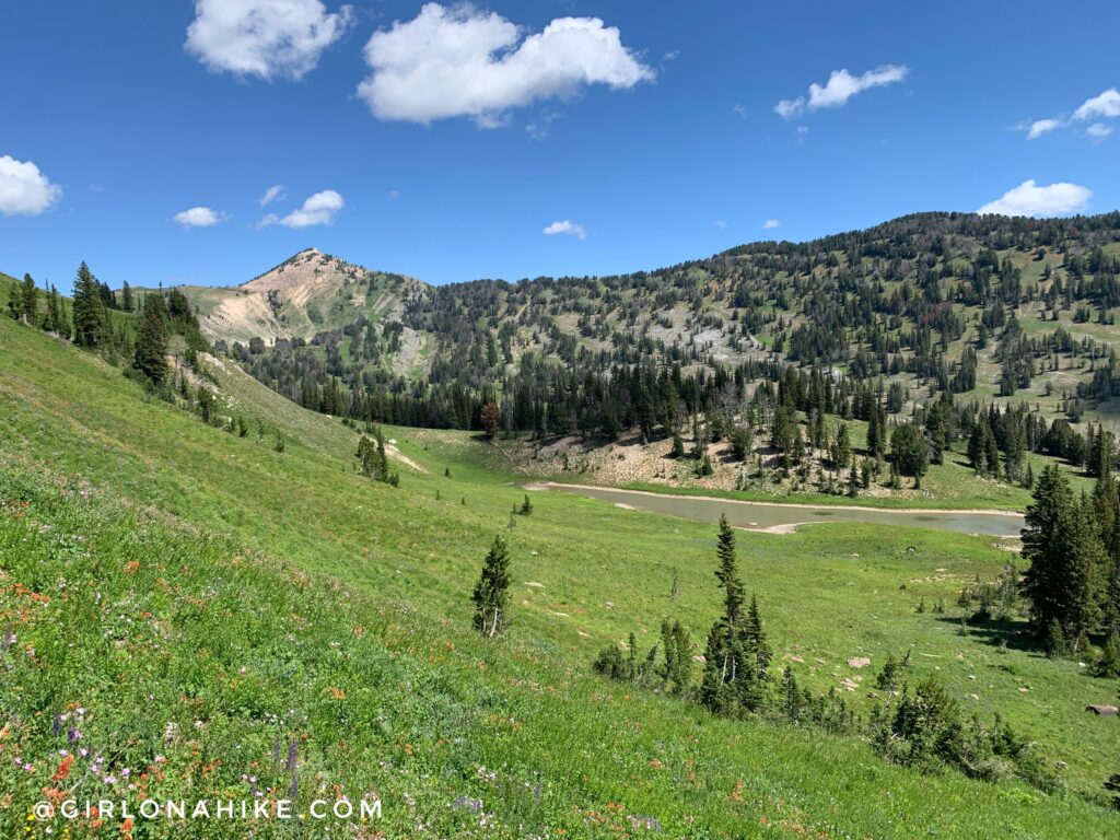 Hiking to Corral Creek Lake - Afton, Wyoming