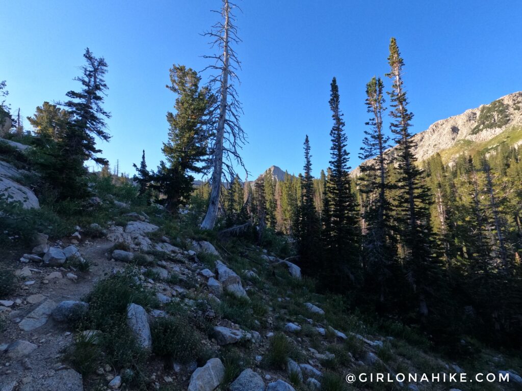 Hiking to Maybird Lakes, Little Cottonwood Canyon