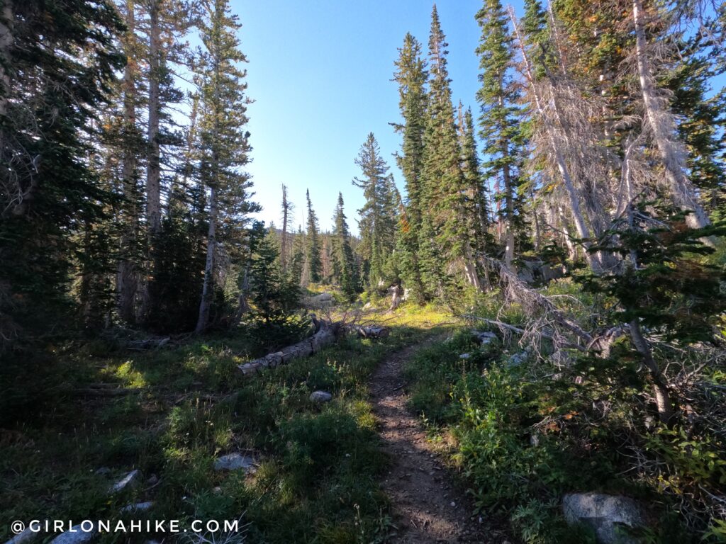 Hiking to Maybird Lakes, Little Cottonwood Canyon