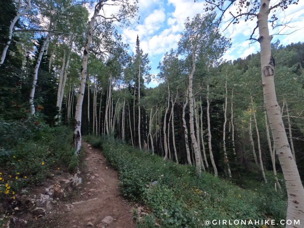 Hiking to Maybird Lakes, Little Cottonwood Canyon