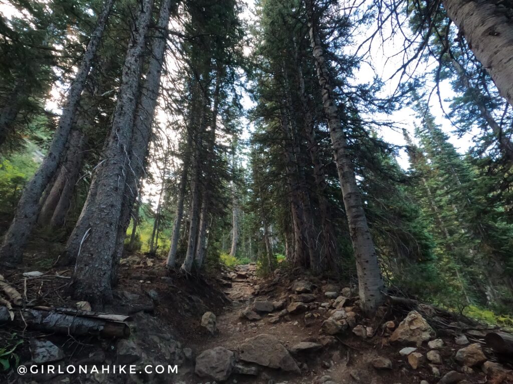 Hiking to Maybird Lakes, Little Cottonwood Canyon