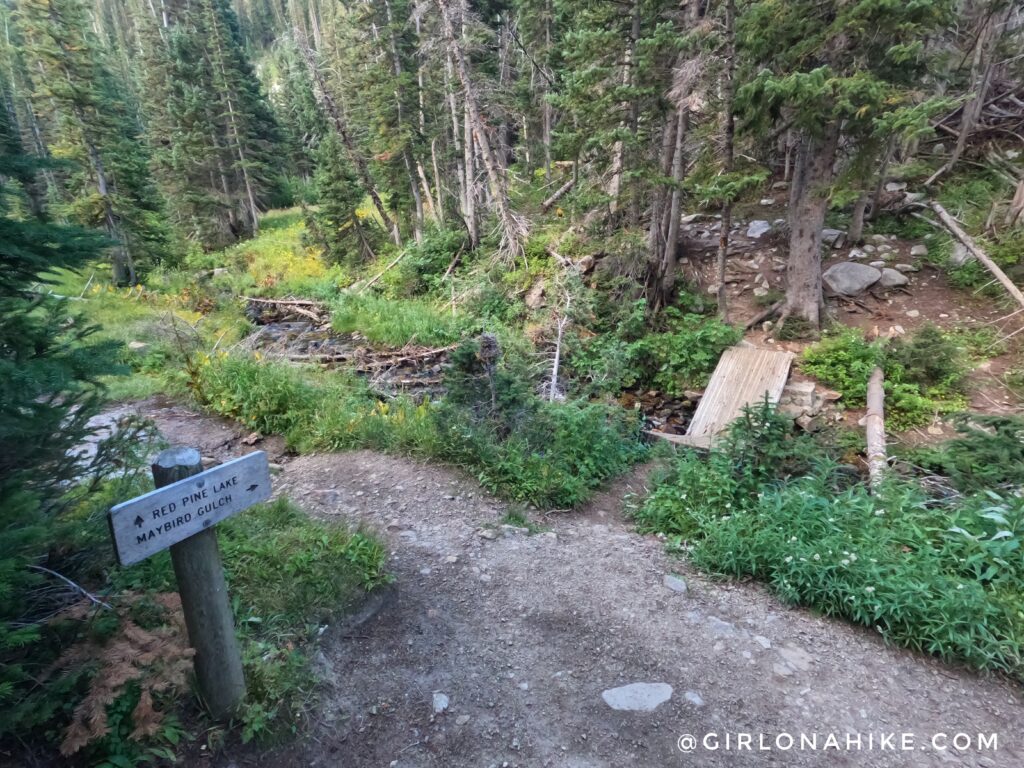 Hiking to Maybird Lakes, Little Cottonwood Canyon