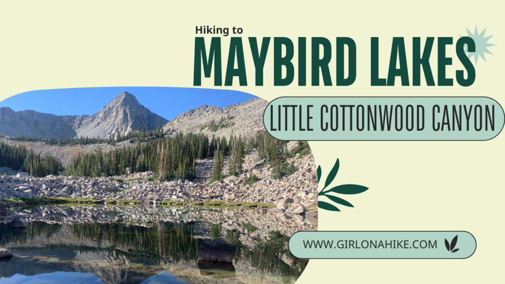 Hiking to Maybird Lakes, Little Cottonwood Canyon