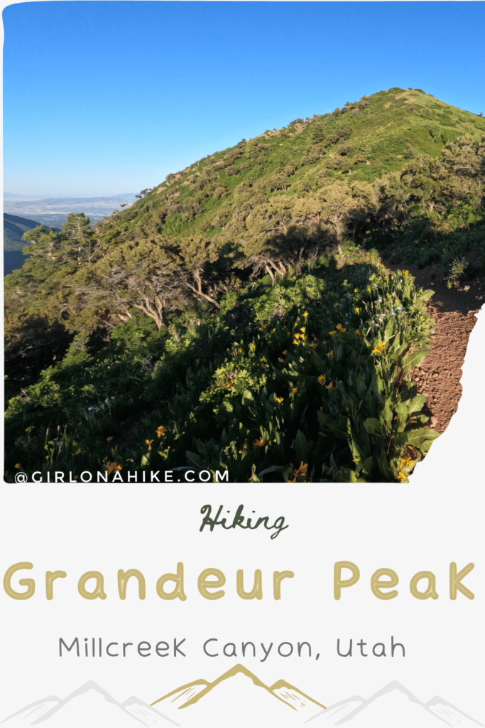 Grandeur Peak is also a perfect intro to Peak Bagging - the fairly short trail with a moderate elevation gain makes it one of the easier peaks to summit with little effort (compared to some of the other peaks in the area). For beginner hikers, this may be considered a tough hike due to the same reason Peak Baggers consider it easy - it is only 6 miles round trip and gains 2,900 ft elevation.
