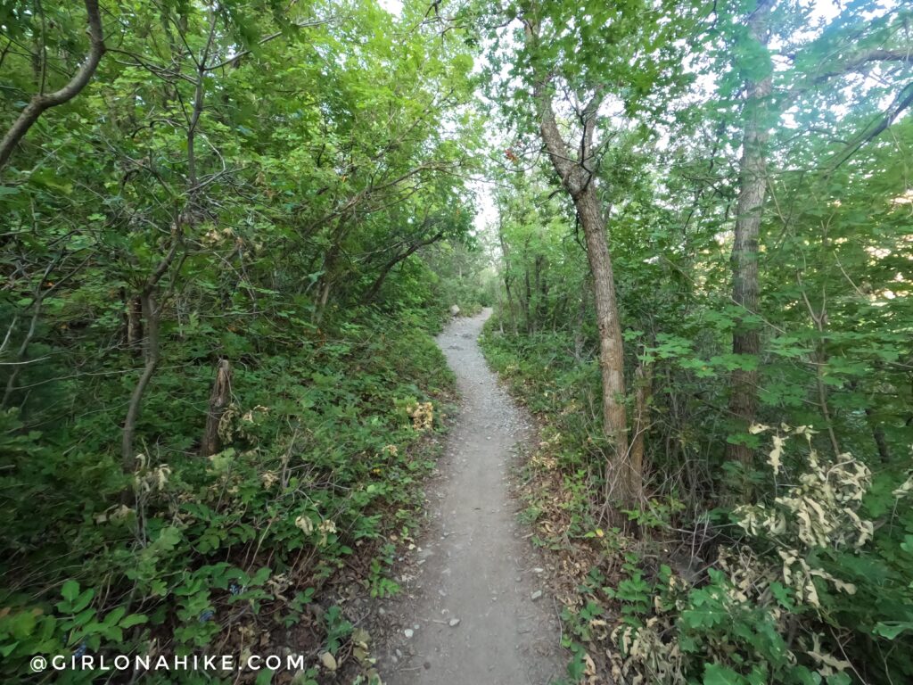 Hiking to Bridesmaids Falls, Provo Canyon