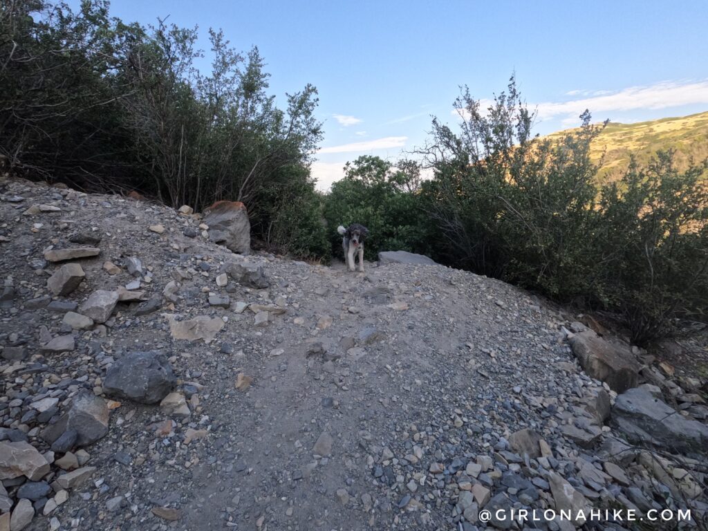 Hiking to Bridesmaids Falls, Provo Canyon