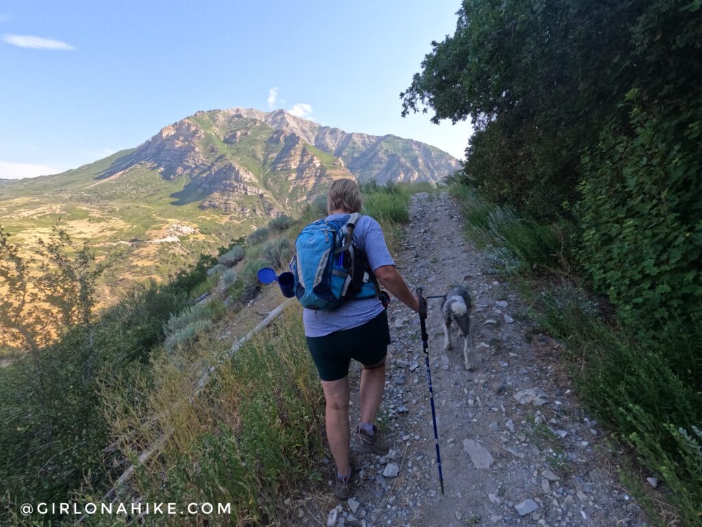 Hiking to Bridesmaids Falls, Provo Canyon