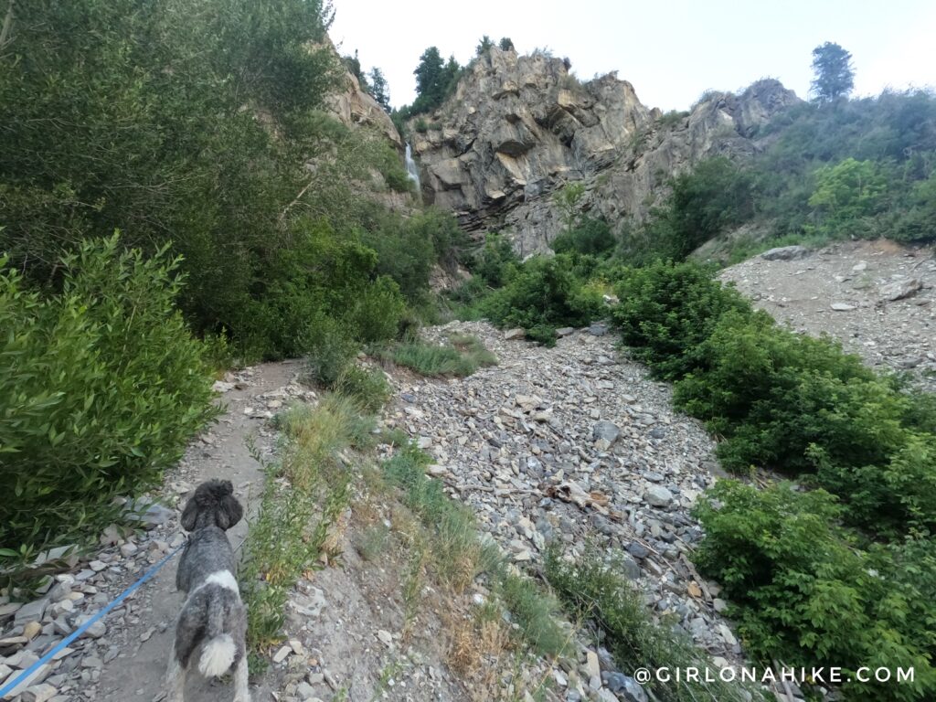 Hiking to Bridesmaids Falls, Provo Canyon