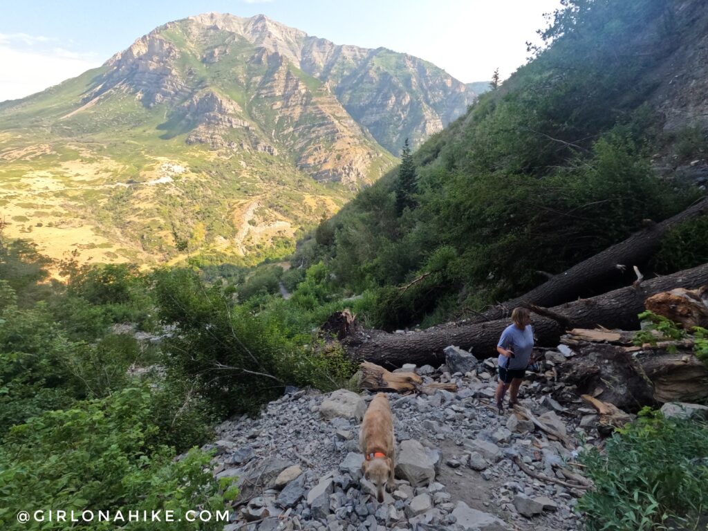 Hiking to Bridesmaids Falls, Provo Canyon