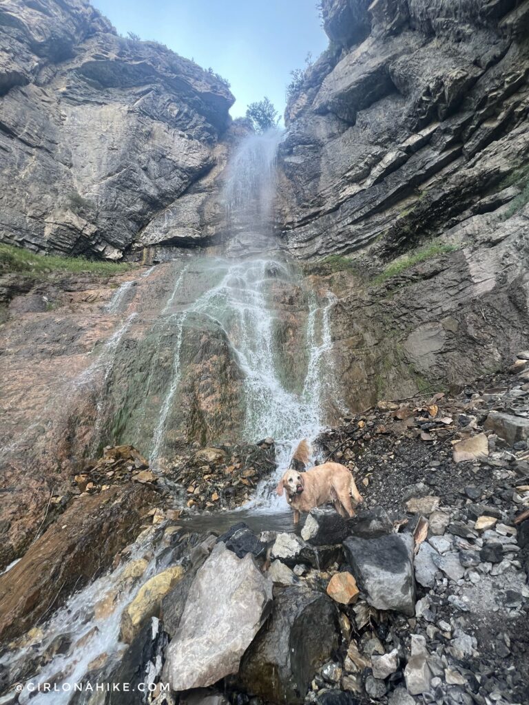 Hiking to Bridesmaids Falls, Provo Canyon