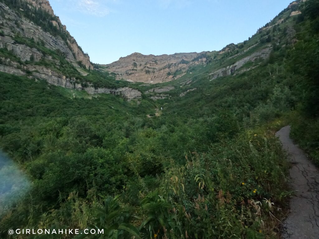 Hiking Mt. Timpanogos via Aspen Grove