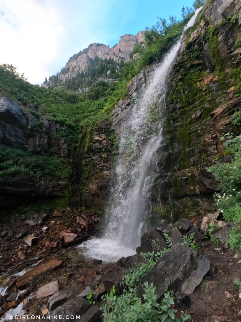 Hiking Mt. Timpanogos via Aspen Grove