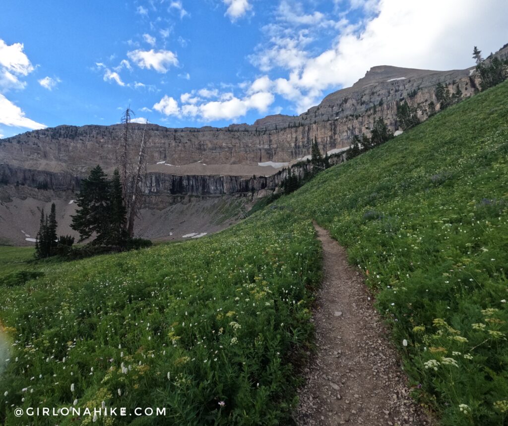 Hiking Mt. Timpanogos via Aspen Grove