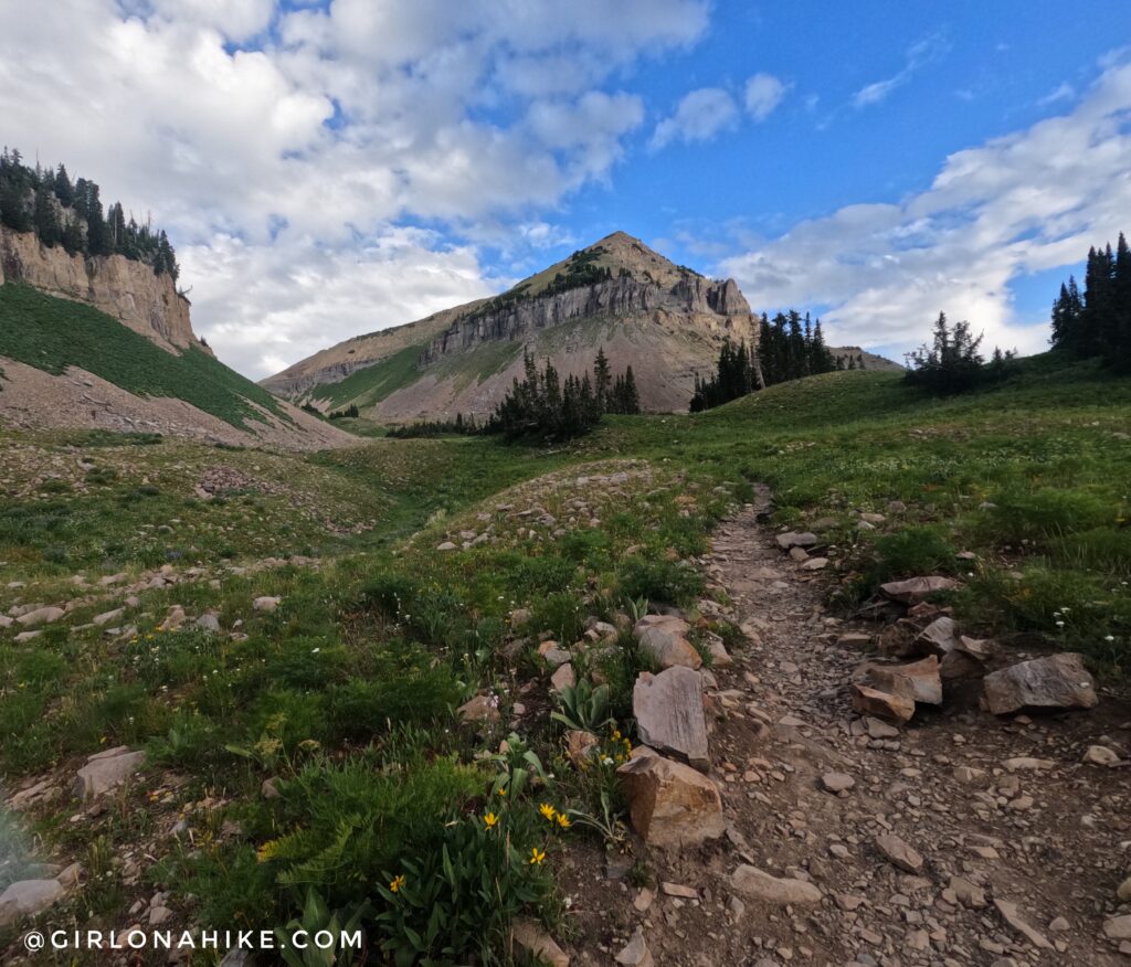 Hiking Mt. Timpanogos via Aspen Grove