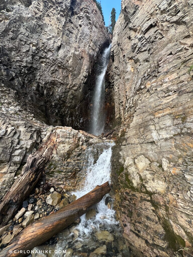 Hiking Mt. Timpanogos via Aspen Grove