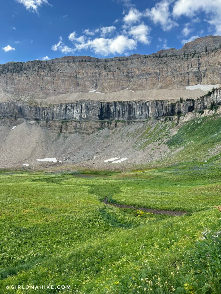 Hiking Mt. Timpanogos via Aspen Grove