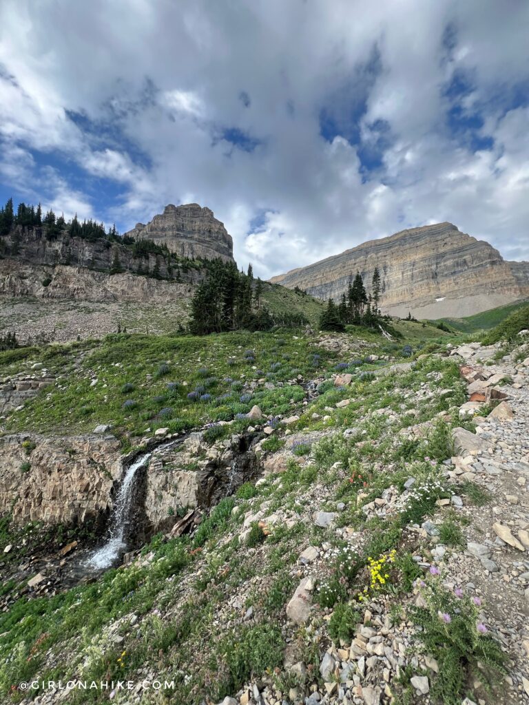 Hiking Mt. Timpanogos via Aspen Grove