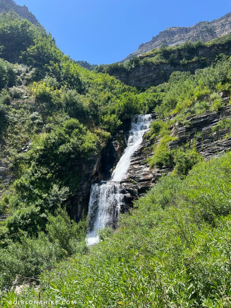 Hiking Mt. Timpanogos via Aspen Grove