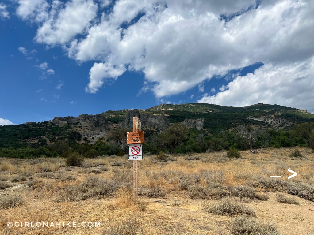 Hiking to Lone Peak via Jacob's Ladder