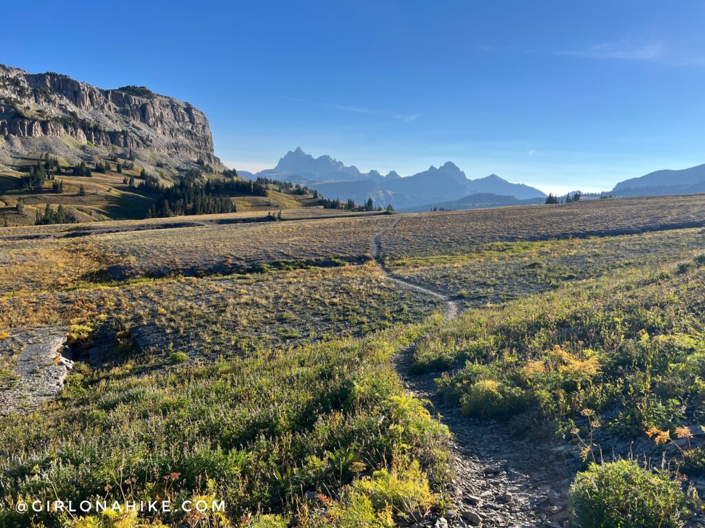 Running the Teton Crest Trail - In One Day!