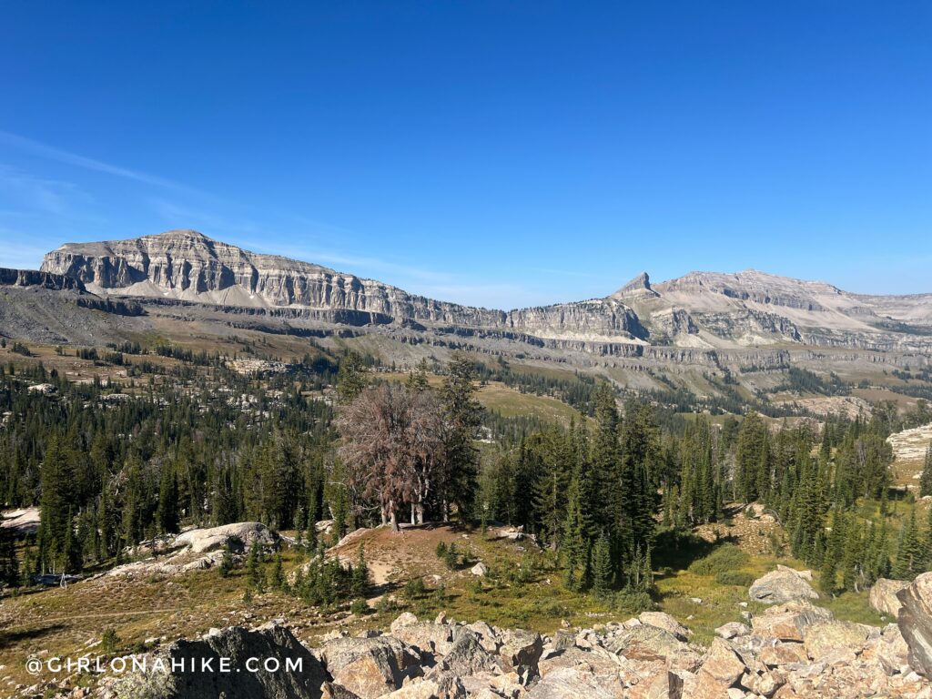 Running the Teton Crest Trail - In One Day!