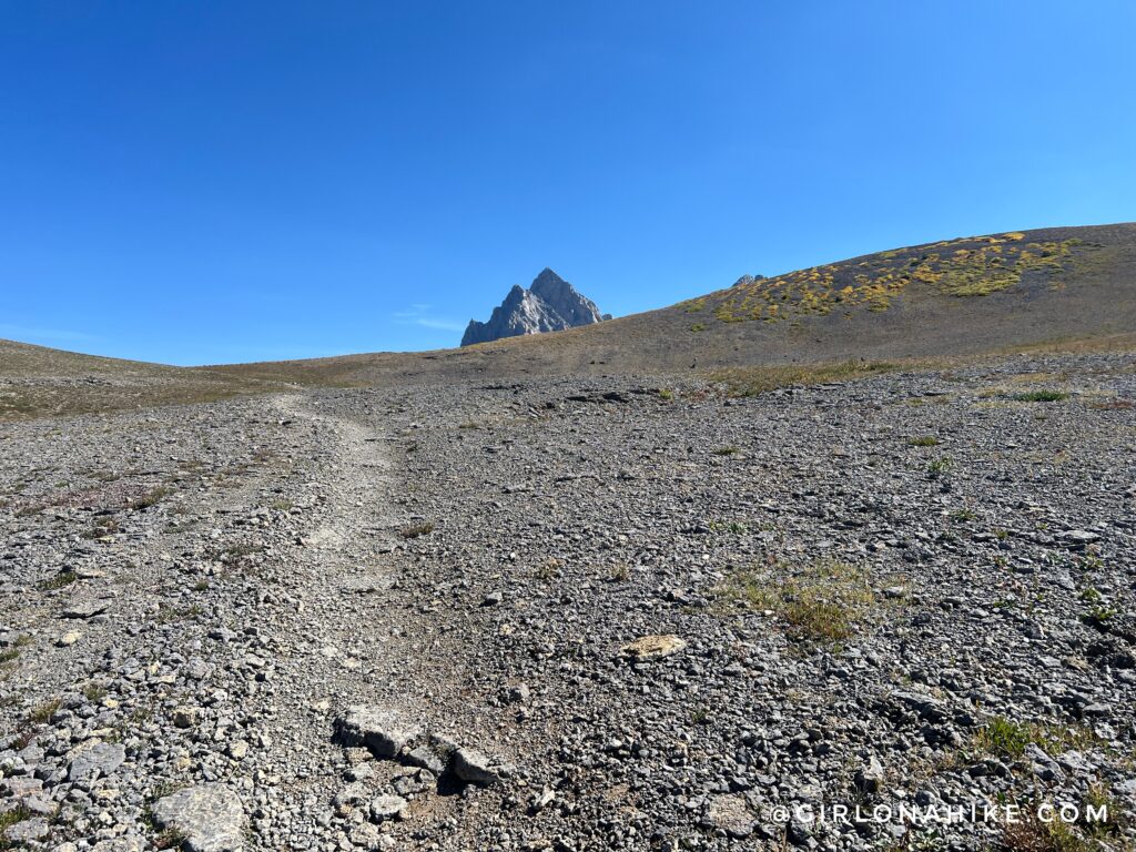 Running the Teton Crest Trail - In One Day!