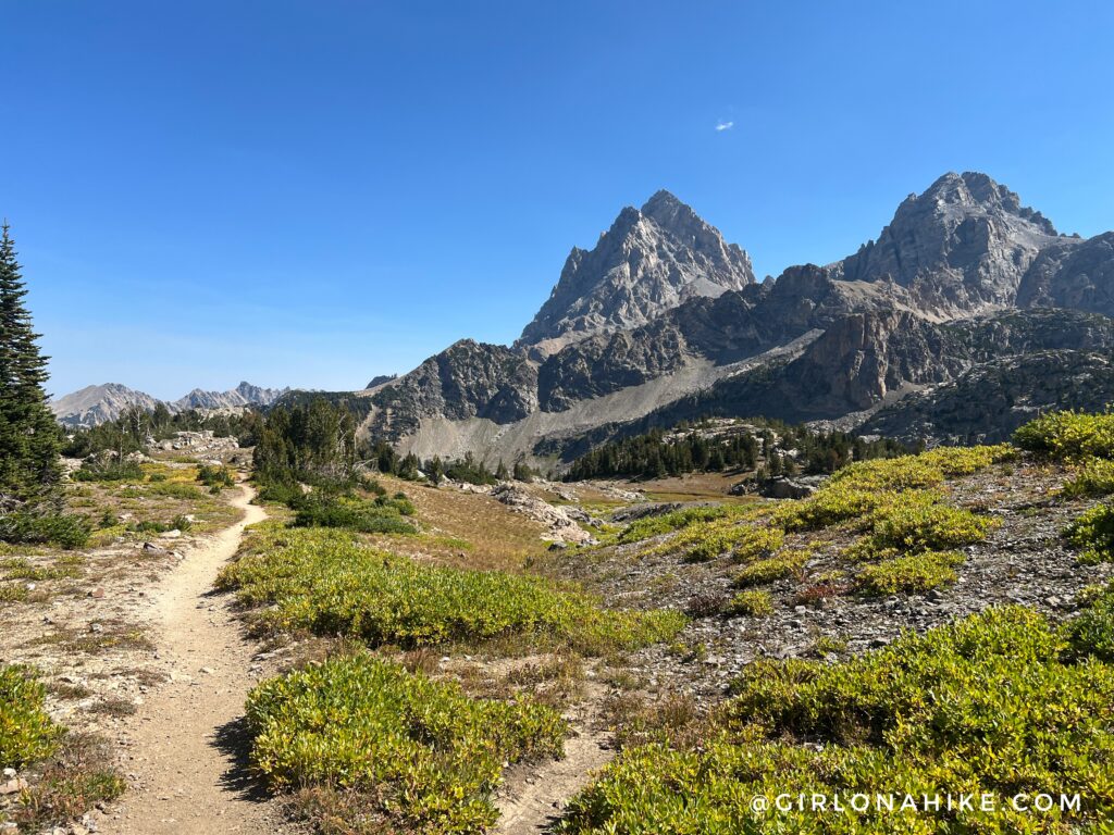 Running the Teton Crest Trail - In One Day!