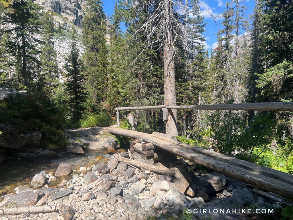 Running the Teton Crest Trail - In One Day!